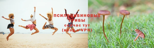 кокс Алексин