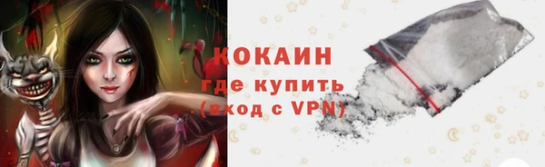 кокс Алексин