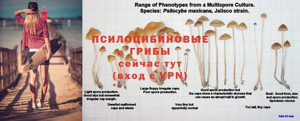 меф Алзамай