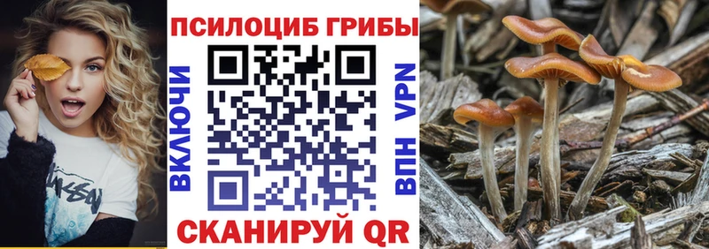 Псилоцибиновые грибы ЛСД  Купить закладки  Сасово 