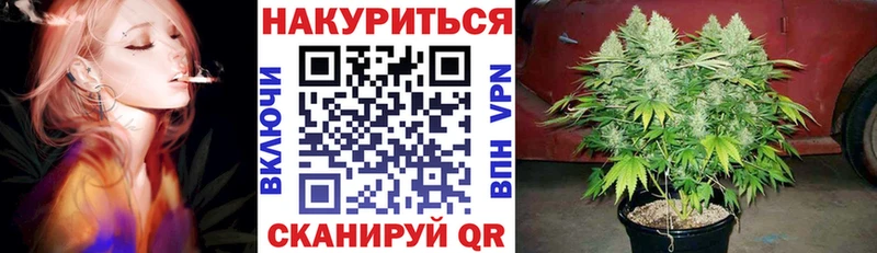 Купить закладки  Сасово  Каннабис ГИДРОПОН 